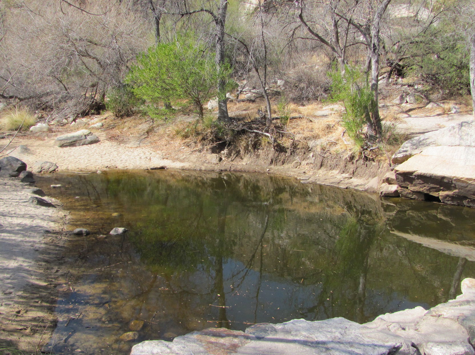 Small pool